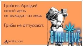 atkritka10.jpg