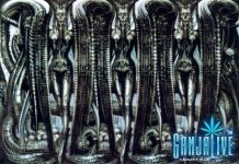 giger009.jpg