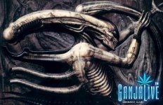 giger014.jpg