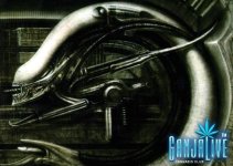 giger017.jpg