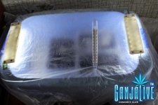 IMG_1186_новый размер.JPG