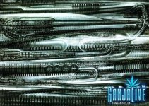 giger035.jpg