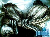 giger041.jpg
