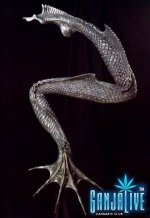 giger063.jpg