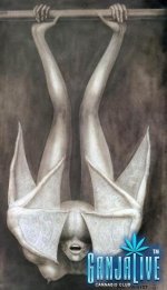 giger079.jpg