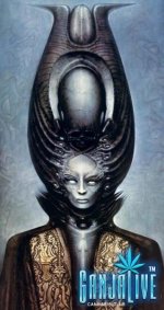 giger081.jpg