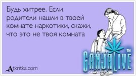 atkritka11.jpg