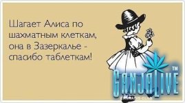 atkritka12.jpg