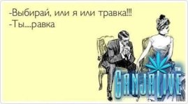 atkritka19.jpg