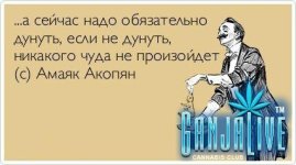 atkritka23.jpg
