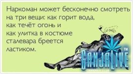 atkritka28.jpg