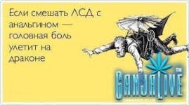 atkritka30.jpg