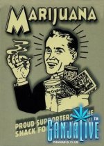canmj005.jpg
