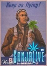 canmj009.jpg