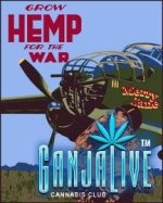 canmj013.jpg
