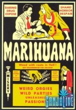 canmj016.jpg