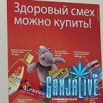 candoc002.jpg