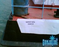 candoc004.jpg