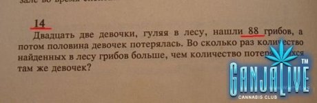 candoc006.jpg
