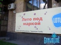 candoc012.jpg