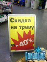 candoc013.jpg