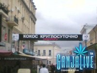 candoc017.jpg