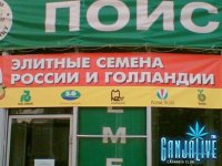 candoc029.jpg