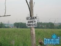 candoc033.jpg