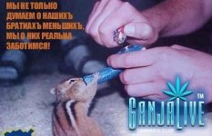 canpic004.jpg