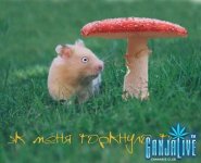 canpic006.jpg
