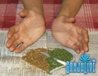 canpic008.jpg