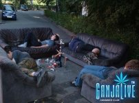 canpic027.jpg