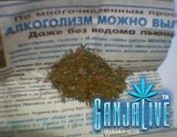 canpic029.jpg