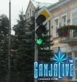 canpic053.jpg
