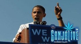 1378832395_obama-weed.jpg 1378832395_obama-weed.jpg
