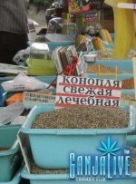 canpic083.jpg