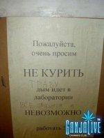 canpic105.jpg