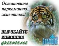 canpic109.jpg