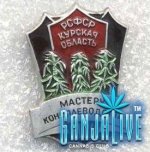 canpic116.jpg
