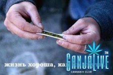 canpic139.jpg