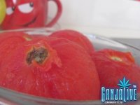 IMG_3317.JPG