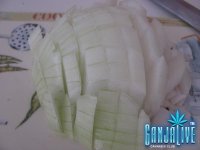 IMG_3321.JPG