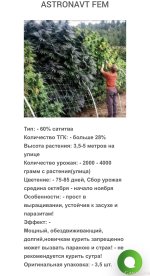 25816F4A-41E1-4CF5-B3EA-4C2D5AE5BD3E.jpeg