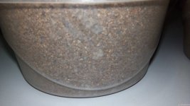 IMG_20210513_085650.jpg