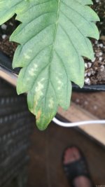 IMG_20210516_094558.jpg