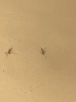 B3355419-EC17-41D5-8DB7-415F43EA1586.jpeg
