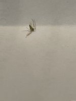 5C6D1072-D121-410E-A53C-43D5A64F37E8.jpeg