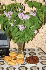 IMG_2831.JPG