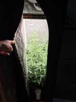 WhatsApp Image 2021-05-20 at 15.32.42 (1).jpeg