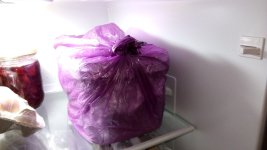 IMG_20210526_223540.jpg